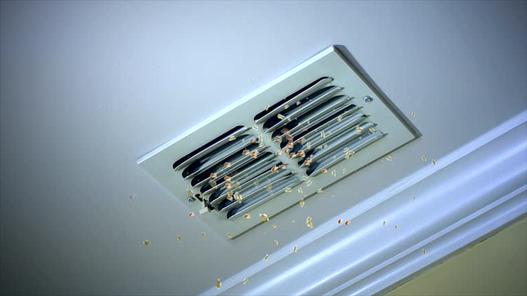 Best Emergency Air Duct Cleaning  in Blaine, TN