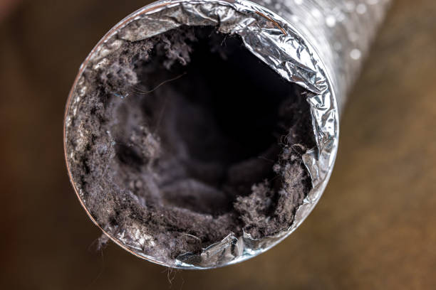 Best HVAC Maintenance and Cleaning  in Blaine, TN