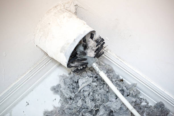 Best Affordable HVAC Duct Cleaning  in Blaine, TN